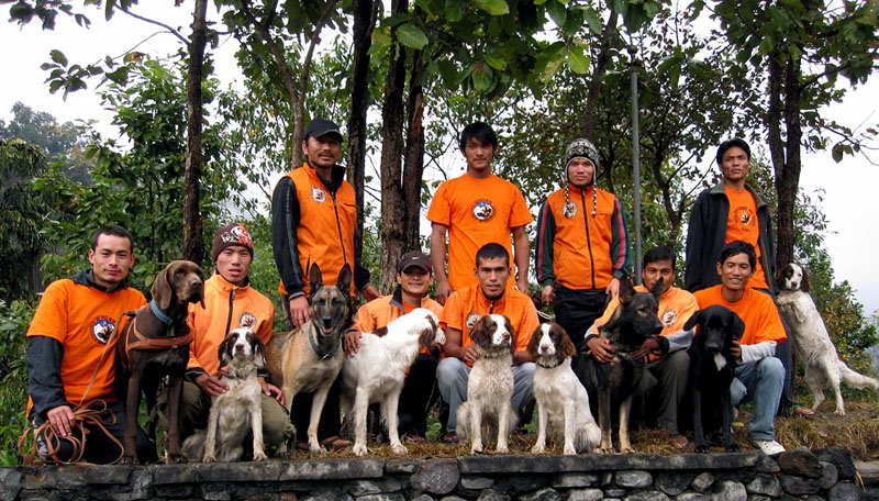 Junior_SAR_Dog__February_2011__Daniela_Neika
